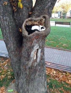 A cozy nest with a view