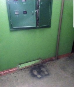 Cursed_electrician