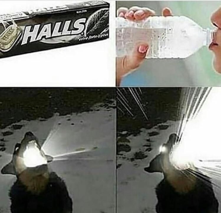 AAAAAAAAAAAAA