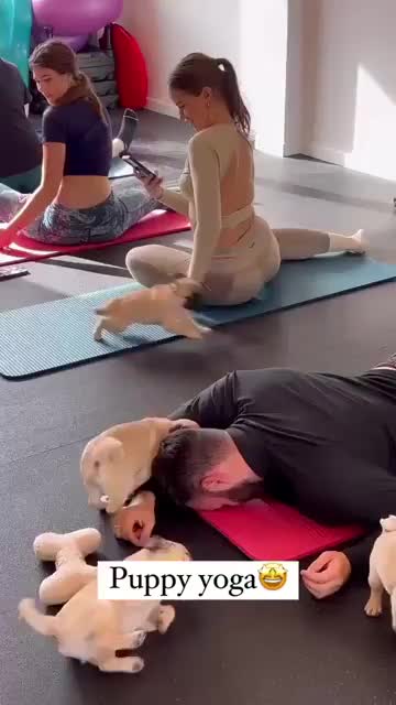 Puppy Yoga