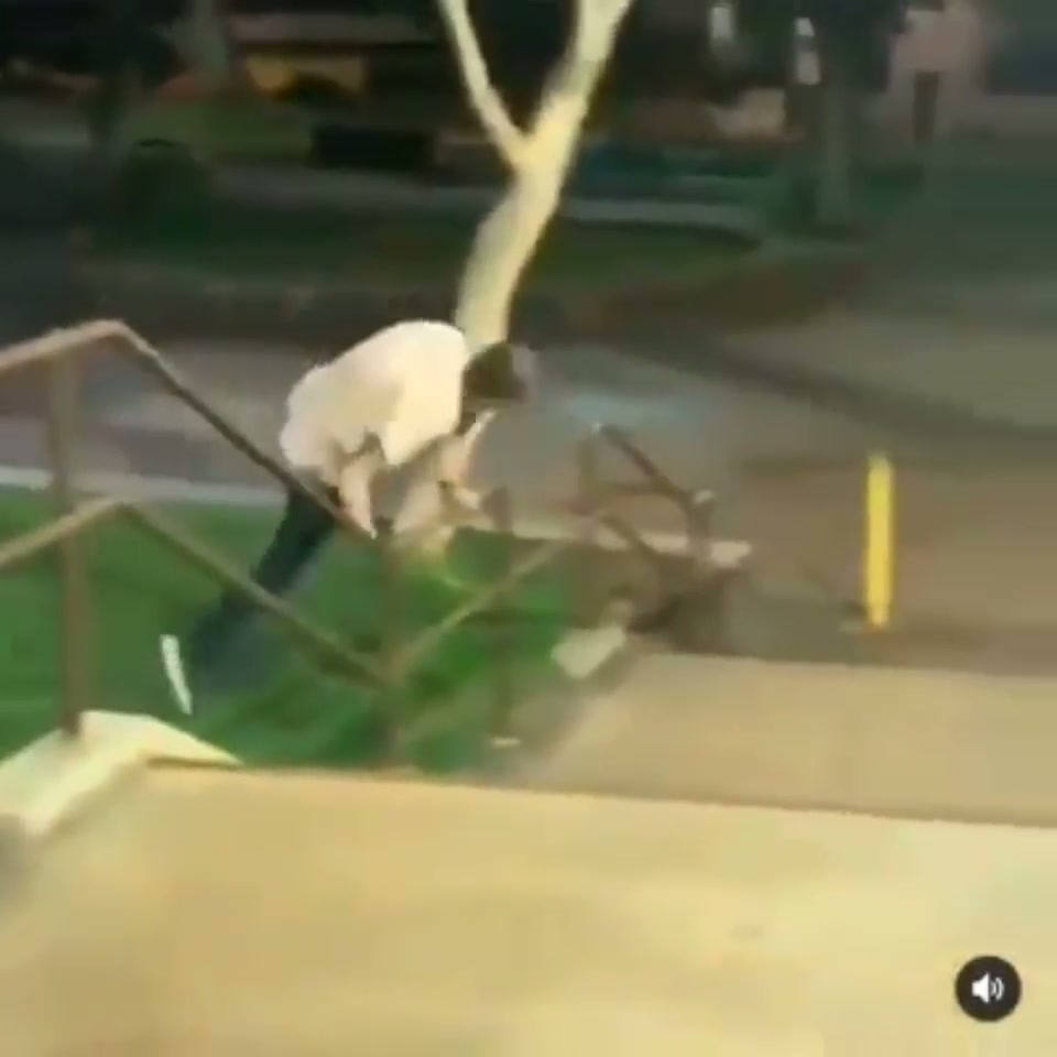 The desperate escape of a guy who may have drunk too much
