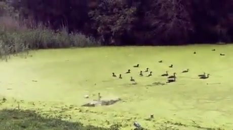 That’s Not Land..