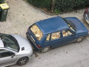 Bread.
