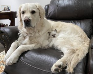 She fits right in
