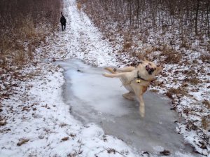 Blursed Slip