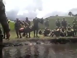 He's the one - GIF on