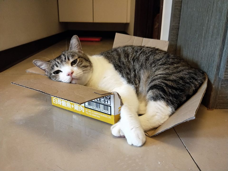 Favorite box