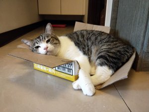 Favorite box