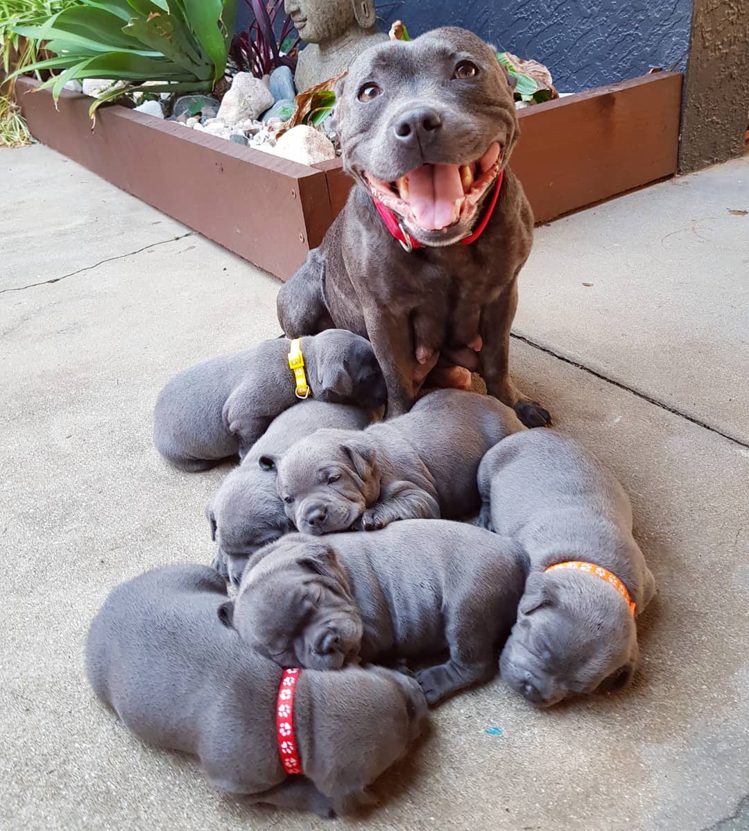 One very proud mom