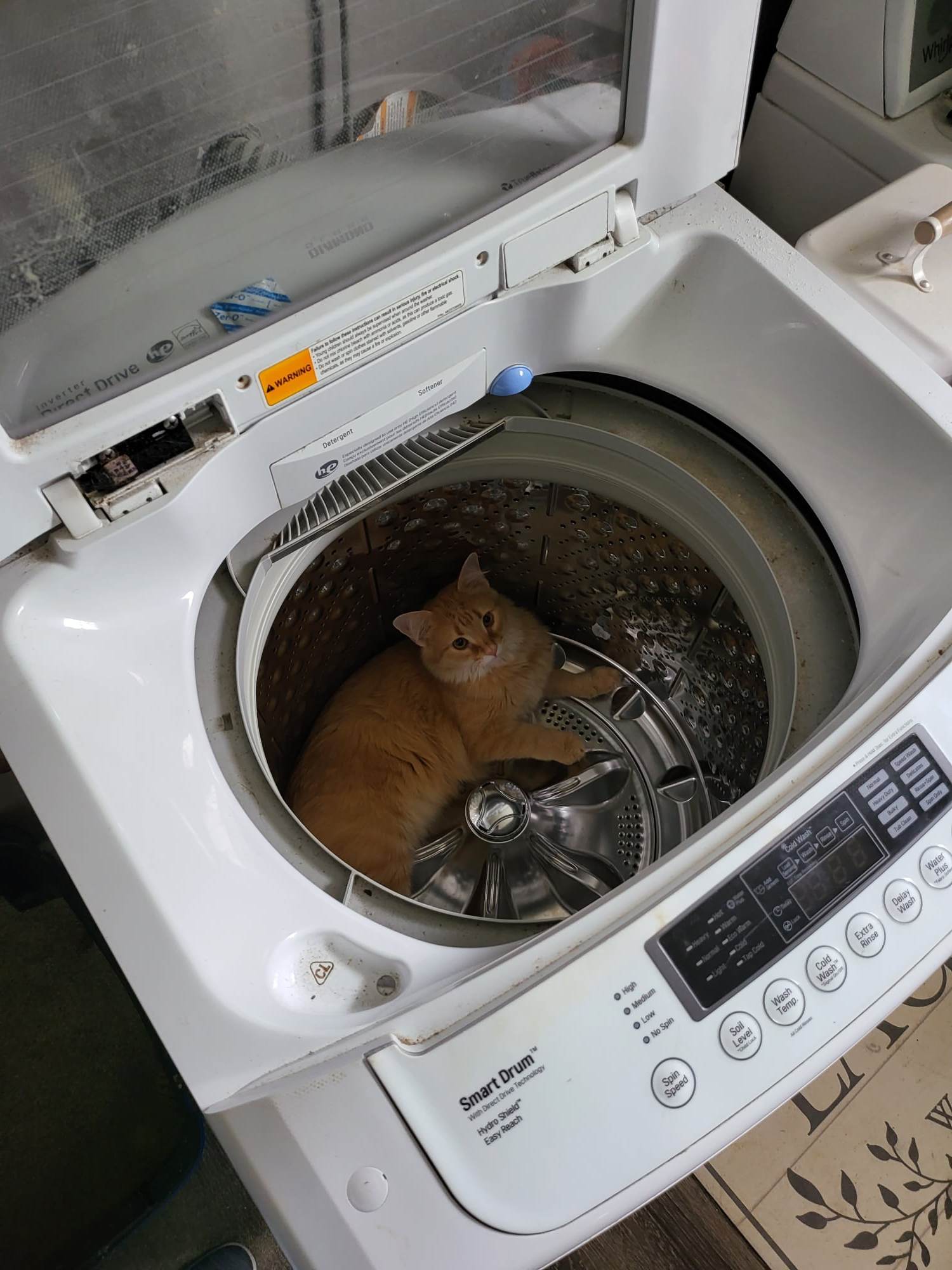 sir you are not laundry get out of there