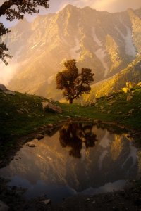 This evening is burned into my mind, Snowline, India [OC] [1500x2250]