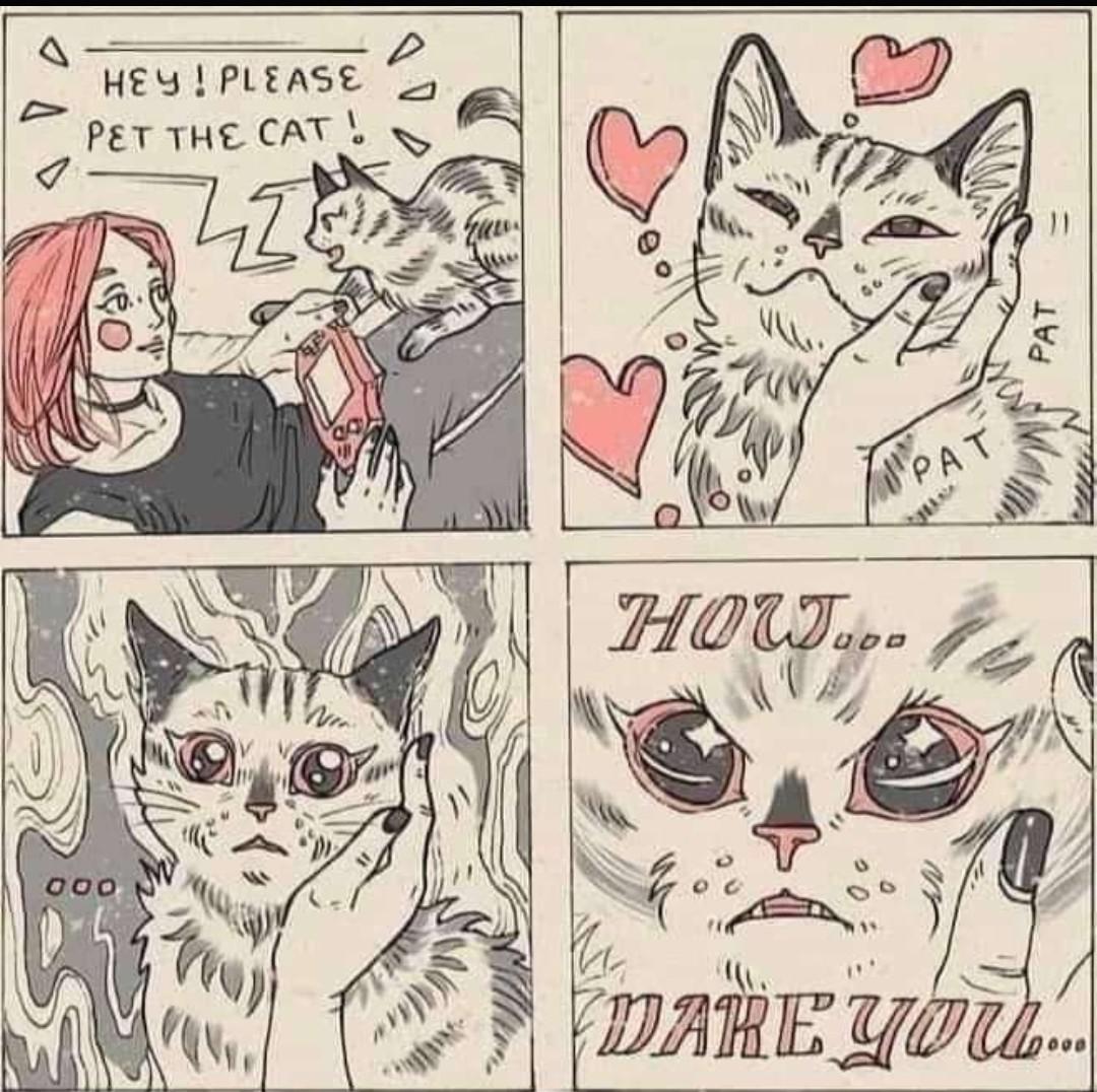 It's a trap!
