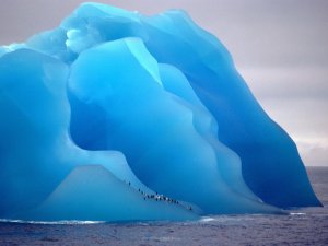 A very rare photo of an iceberg that flipped down with penguins walking on it. The blue color is surreal.