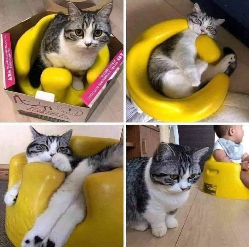 He loved it. But it was not for him