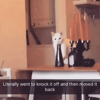 Criminal situation