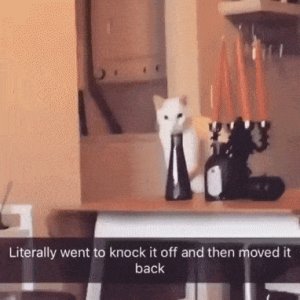 Criminal situation