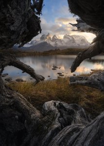 Just a tree and some mountains, a frame within a frame. Torres del Paine, Chile [OC][1428x2000] @mattymeis