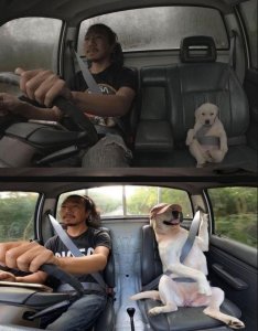 Man's best friend, all grown up