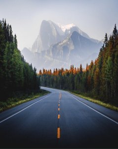 Road trips in the Canadian Rockies ?