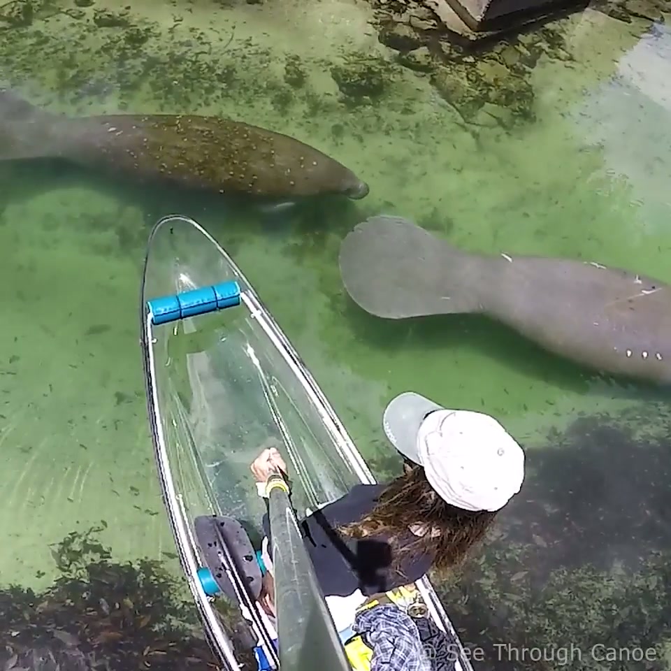 Florida Traffic