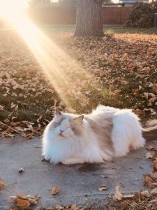 I think he has a quest. Do you approach him?
