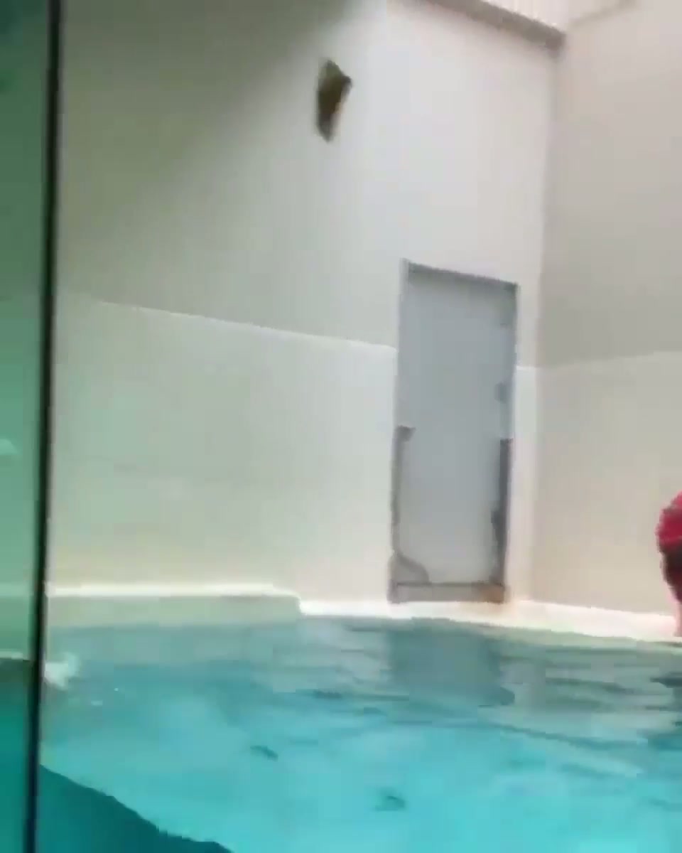 This Otter Can Jump!