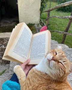 A friend of mine sent me this photo of her trying to read :)