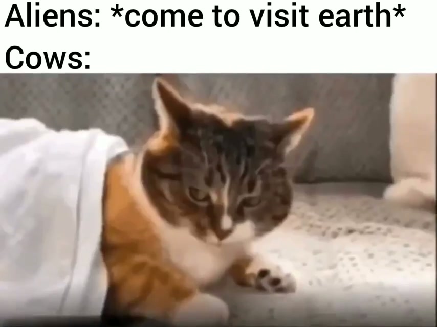 Aliens Yoinked My Ass