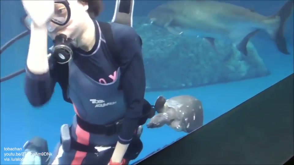 She has no time for turtle