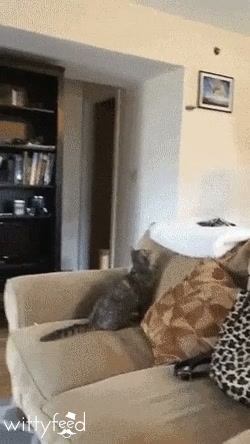 Best Catch ever