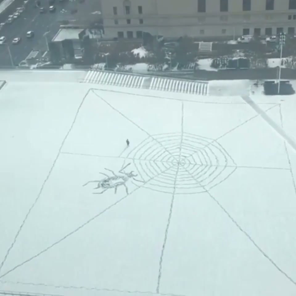 someone is bored