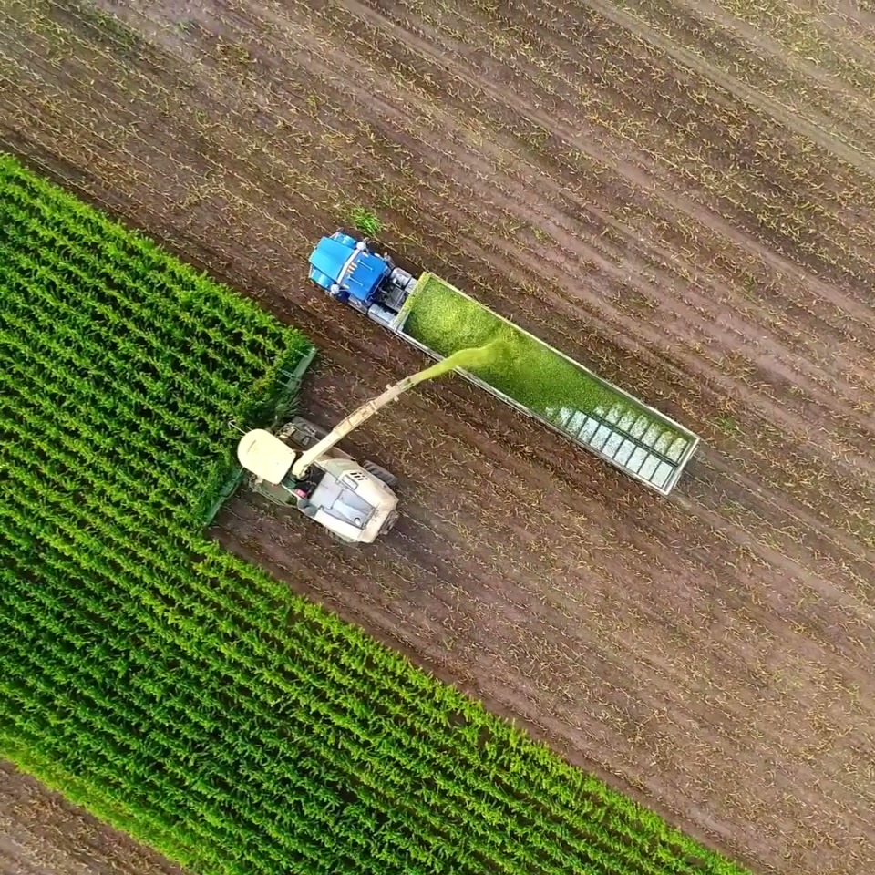 Modern Farming