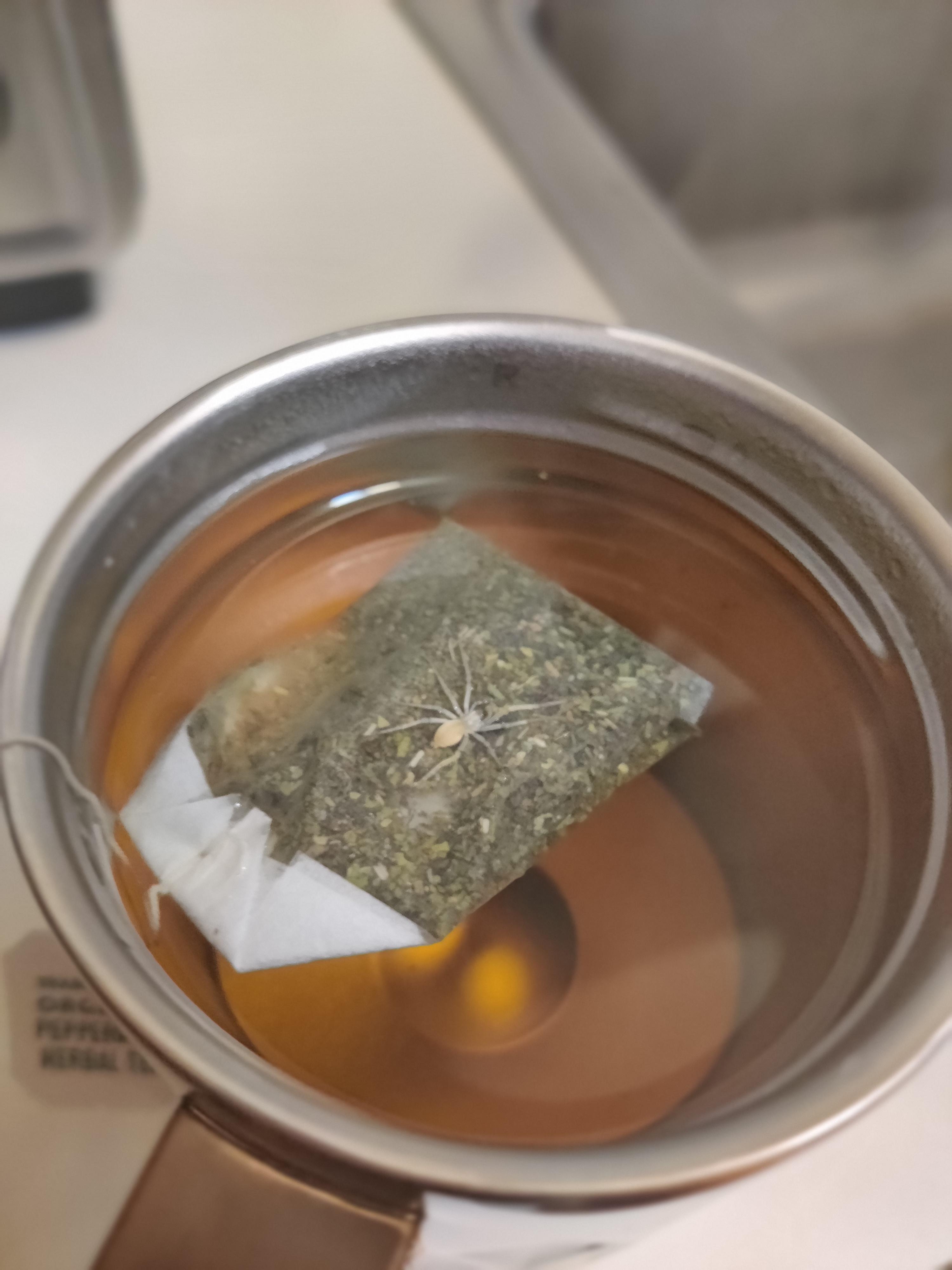 Went to go take a sip of my tea..