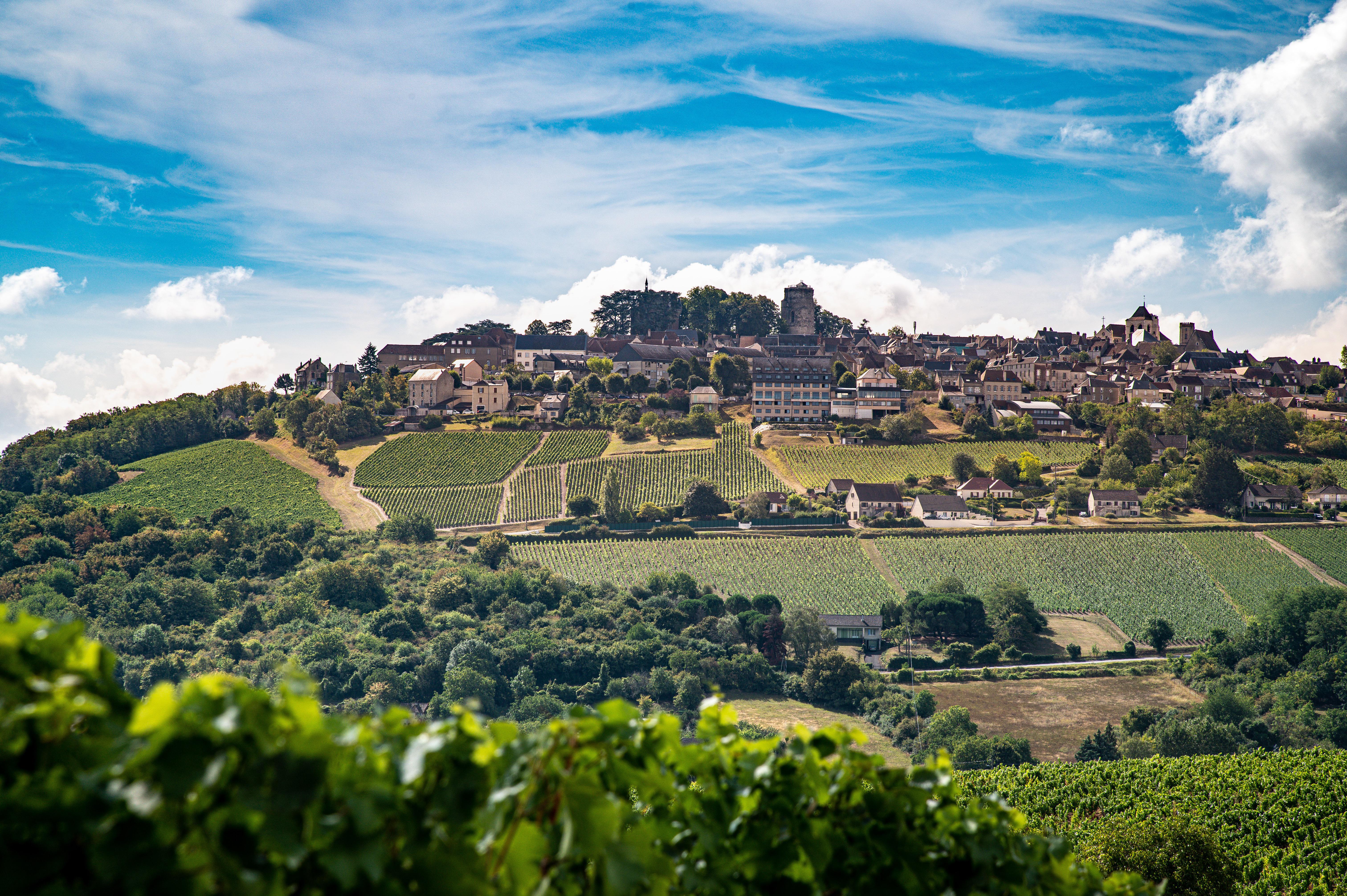 Sancerre