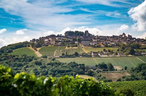 Sancerre
