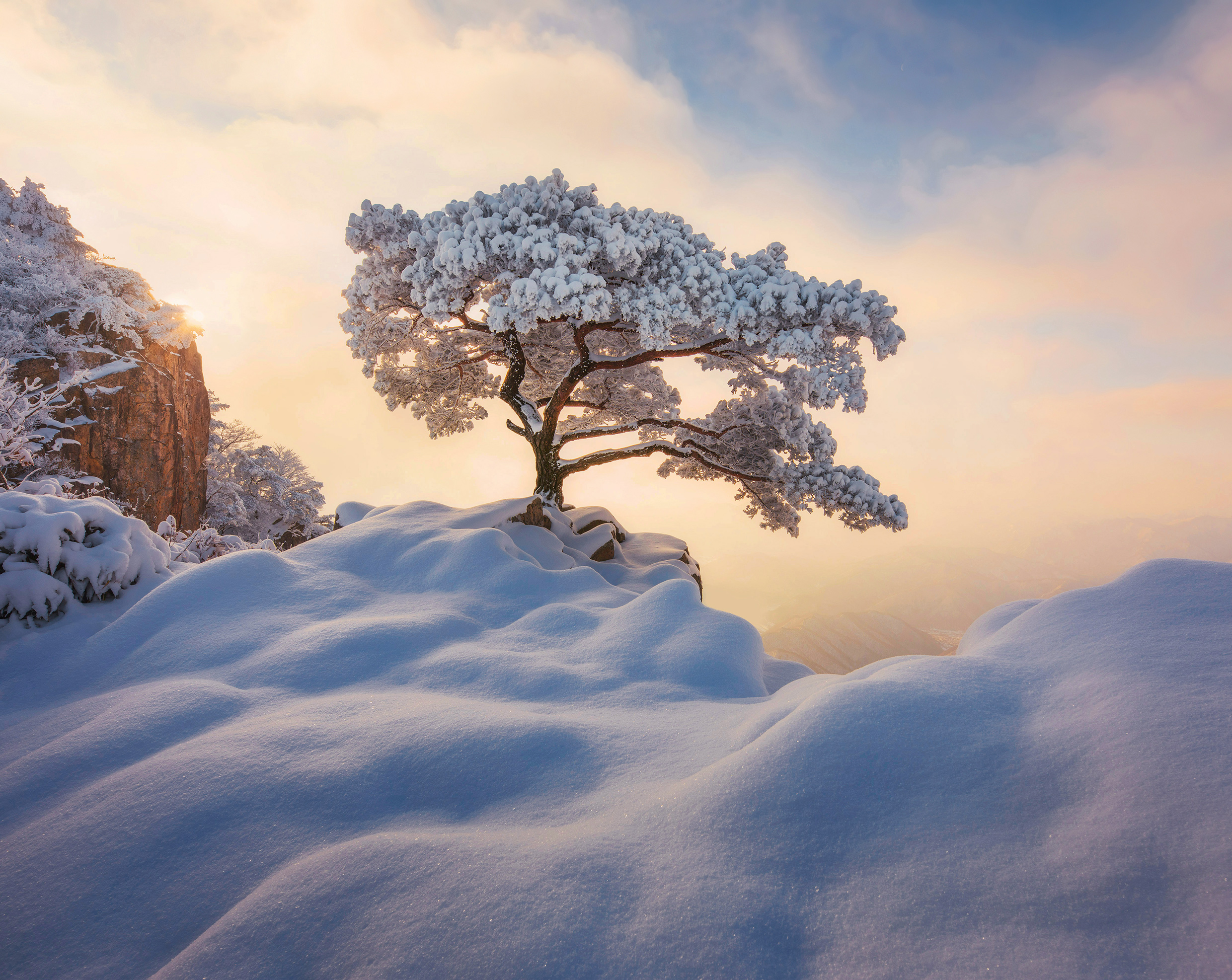 Another year, another frost covered pine tree, Daedunsan, South Korea (OC) (3000x2000)