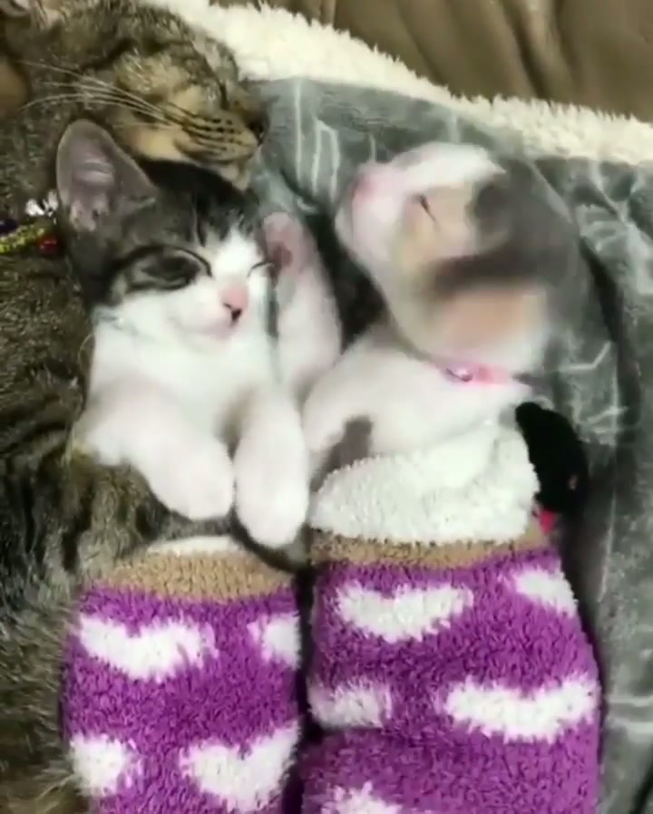 OH. MY. GOD.