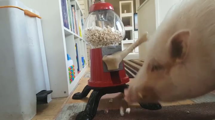 Moritz uses the popcorn machine