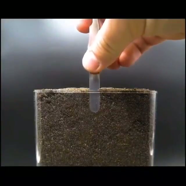 Time lapse of a seed growing