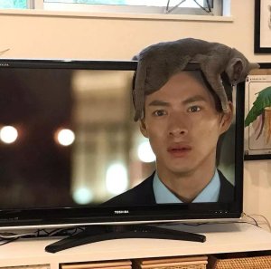 cAt geTS skInNed, tuRnEd IntO WiG