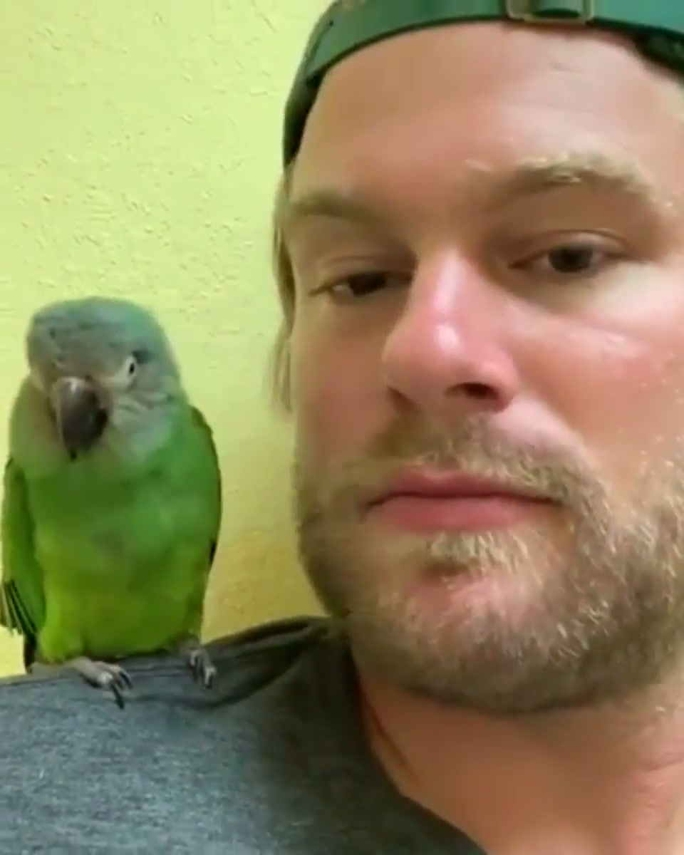 His reaction when he realizes the bird loves him back