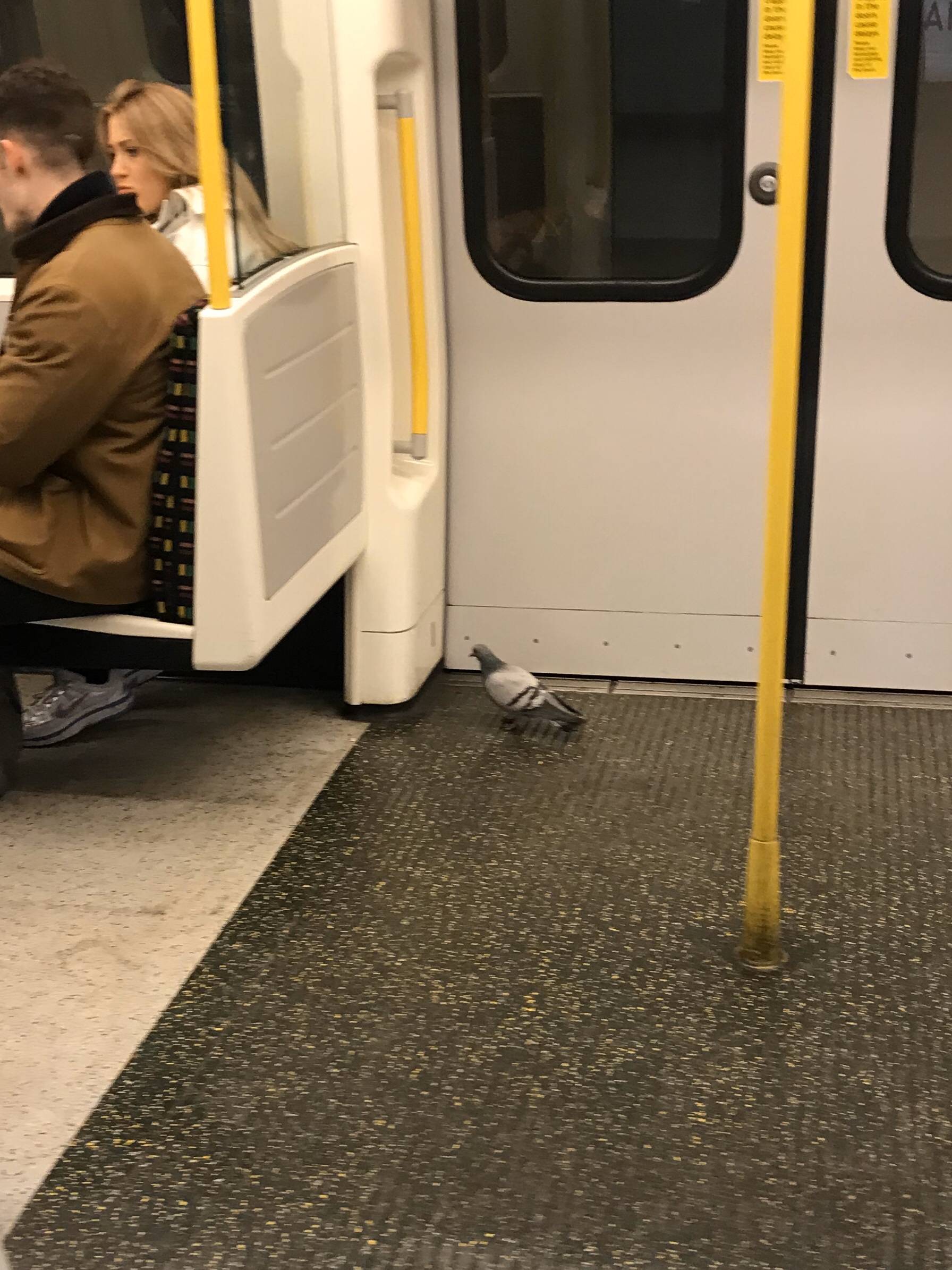 No one was nice enough to offer him a seat on the underground