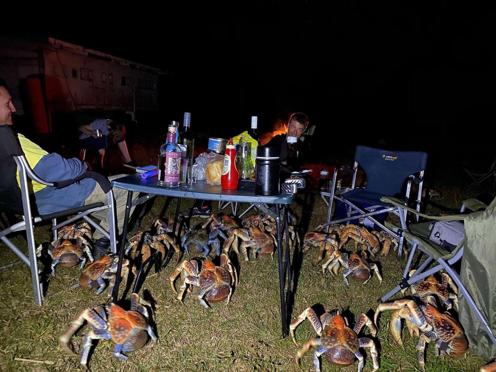 Camping with crabs