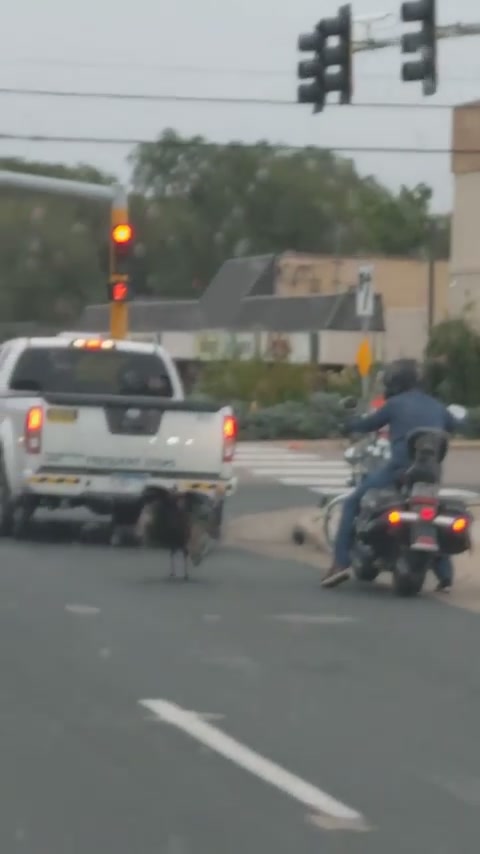 Road rage.