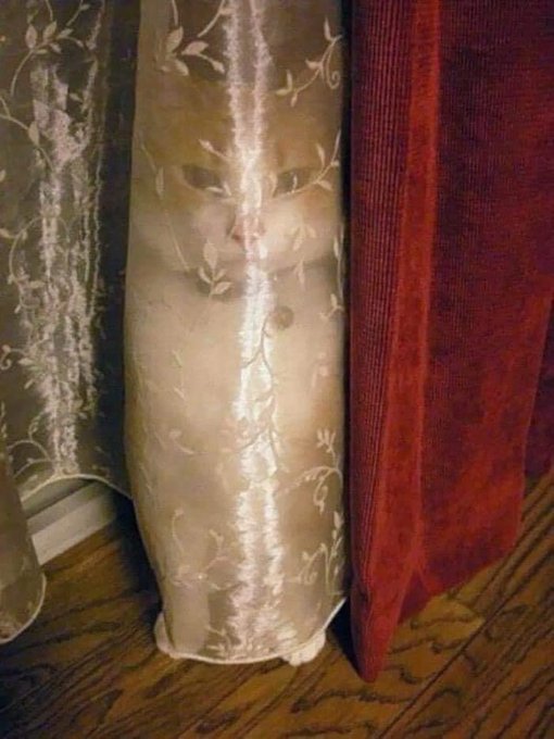 SpY wAs CaugHT InFiltrAtiNG gOverNmeNt CoMpouND