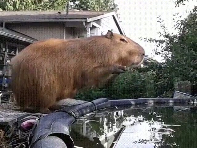 Such Grace...