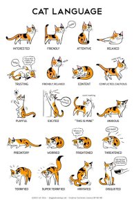 Cat language