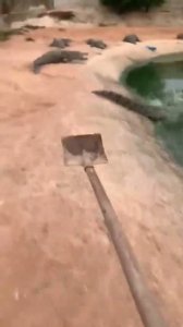 a la ducha