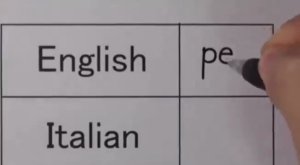 Alemán