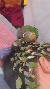 te quiere tanto que te adorna